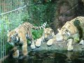 September2008 121